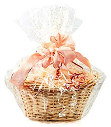 18x24" Flat PVC Shrink Bags 100/cs