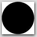 3" Diameter Black Circle Labels 1000/rl