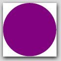 3/4" Diameter Purple Circle Labels 1000/rl