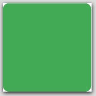 2-1/2"x2-1/2" Green Square Labels 500/rl