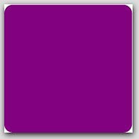 2-1/2"x2-1/2" Purple Square Labels 500/rl