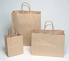 16x6x19-1/4 Brown Paper Shopping Bags - 200/cs