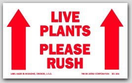 3x5" Live Plants Please Rush Arrow Labels 500/rl