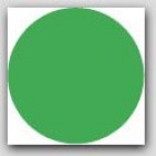 1" Diameter Green Circle Labels 1000/rl