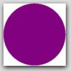 1" Diameter Purple Circle Labels 1000/rl