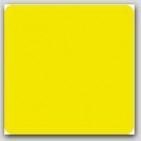 4x4" Flourescent Chartreuse Square Labels 500/rl