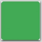 4x4" Green Square Labels 500/rl
